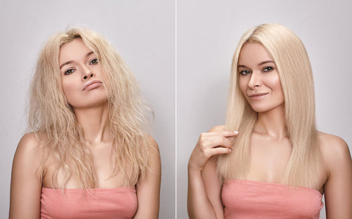 Low vs High Porosity Hair: Identify & Guide